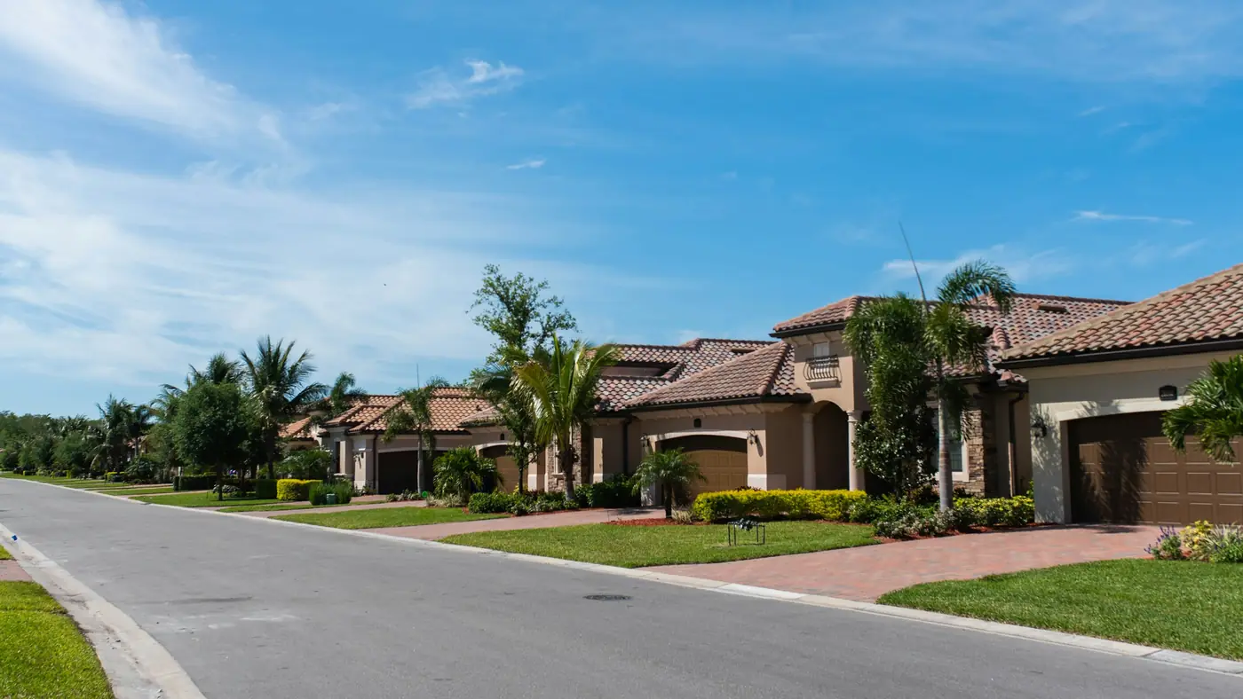 A quiet Florida street with palm trees and tile-roof houses